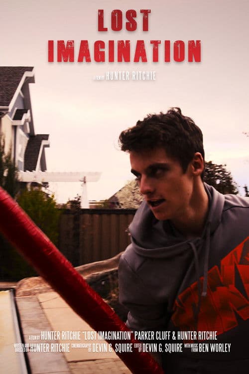 Lost Imaginationのポスター