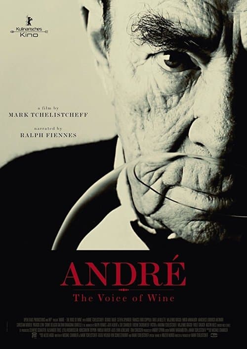 André: The Voice of Wineのポスター