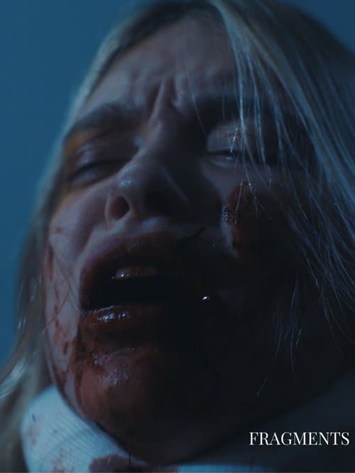 Fragmentsのポスター