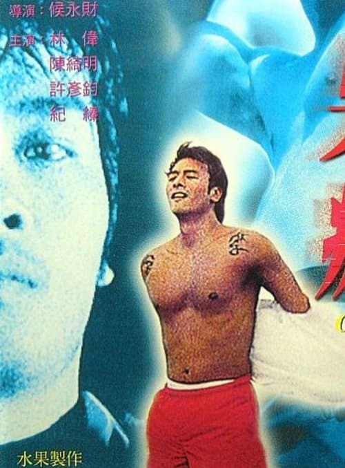 四級殺人狂二男瘋のポスター