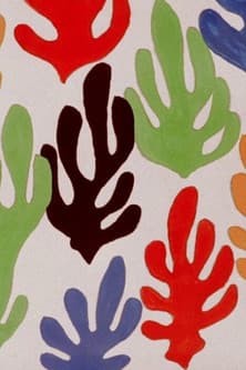 Les fauvesのポスター