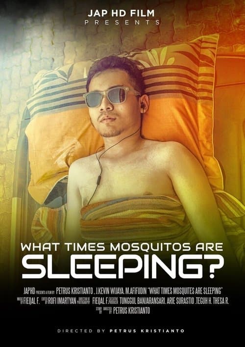 What Times Mosquitos Are Sleeping?のポスター