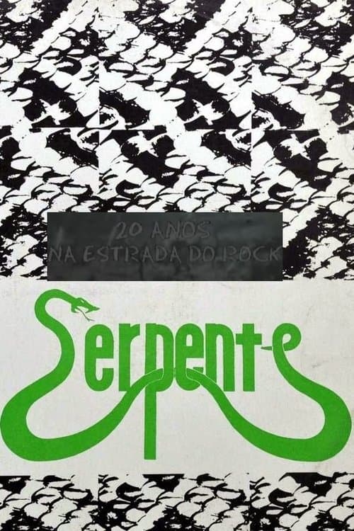 20 Anos na Estrada do Rockのポスター