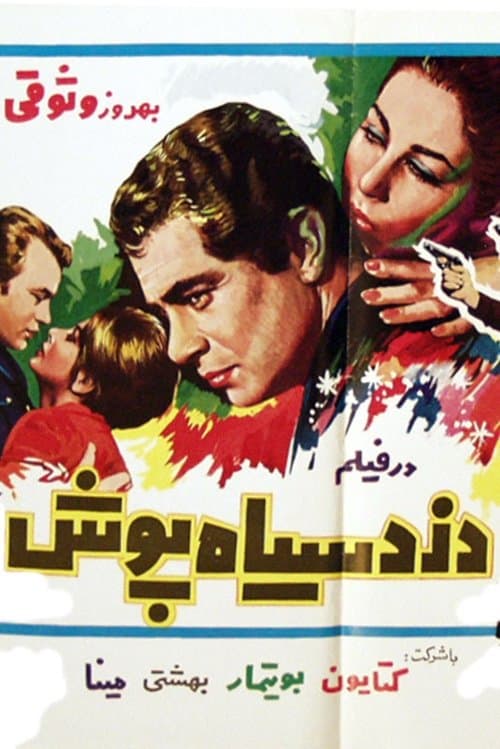 دزد سیاه‌پوشのポスター