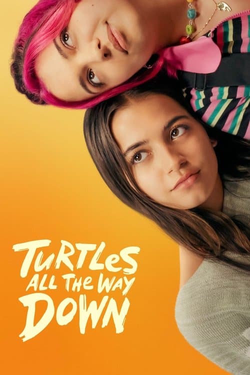 Turtles All the Way Downのポスター