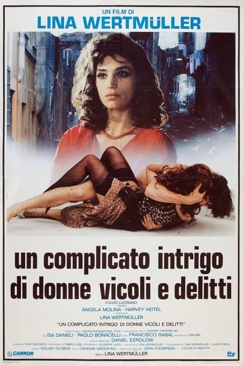 Un complicato intrigo di donne, vicoli e delittiのポスター