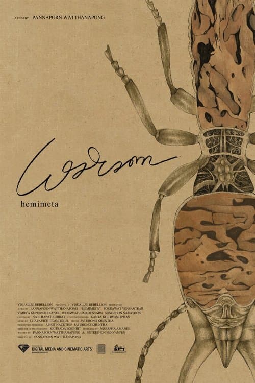 เฮมิเมตาのポスター