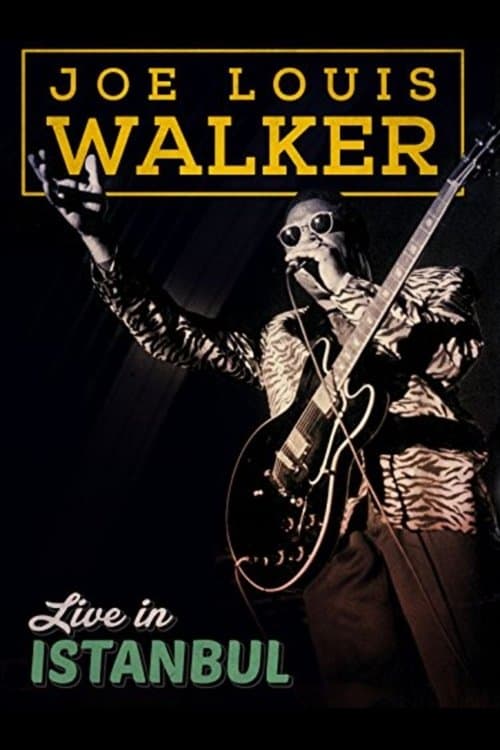 Joe Louis Walker: Live In Istanbulのポスター