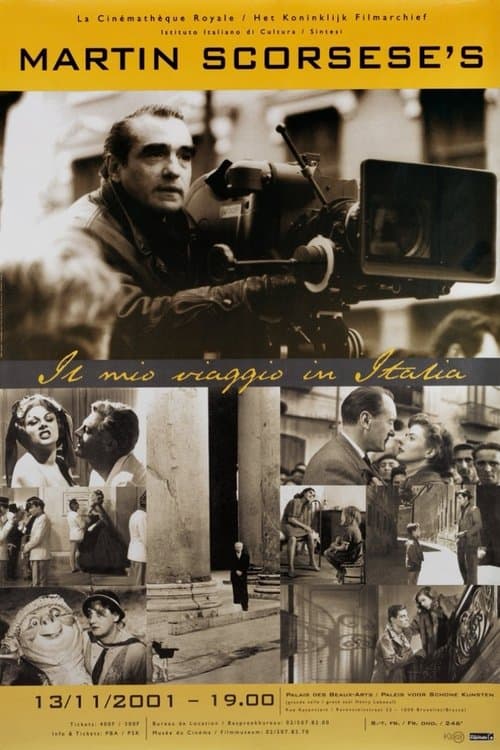 Il mio viaggio in Italiaのポスター