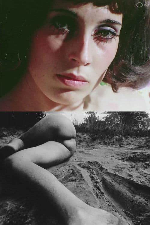 film fragmentsのポスター