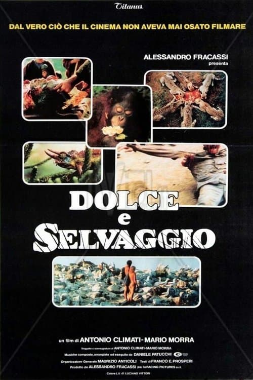 Dolce e selvaggioのポスター