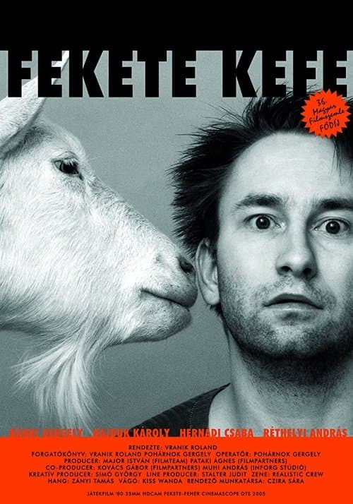 Fekete kefeのポスター