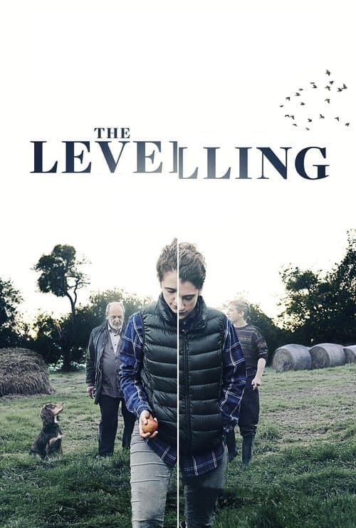 The Levellingのポスター