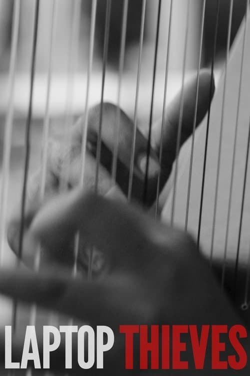 Laptop Thievesのポスター