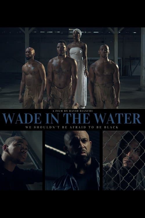 Wade in the Waterのポスター