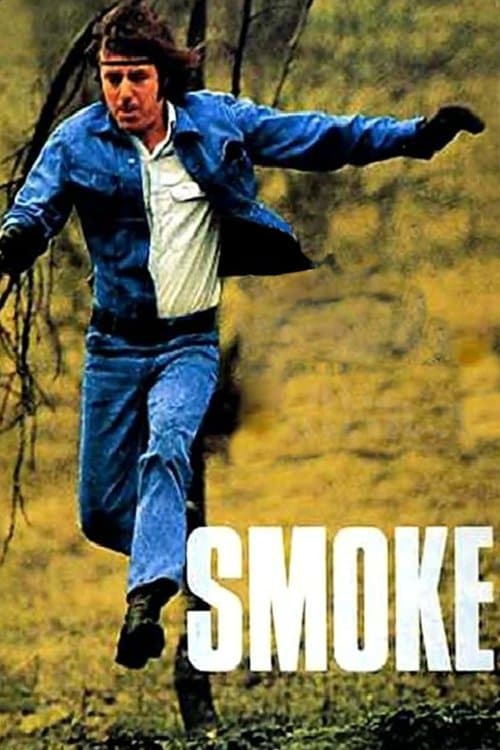 Smokeのポスター