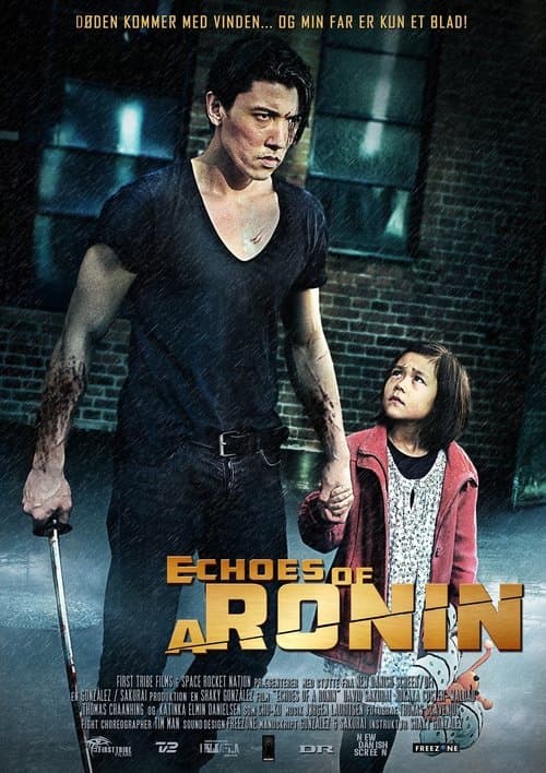 Echoes of a Roninのポスター