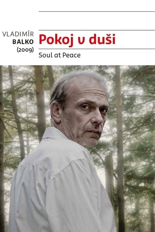 Pokoj v dušiのポスター