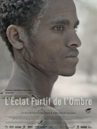 L'éclat furtif de l'ombreのポスター