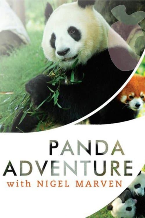 Panda Adventure with Nigel Marvenのポスター