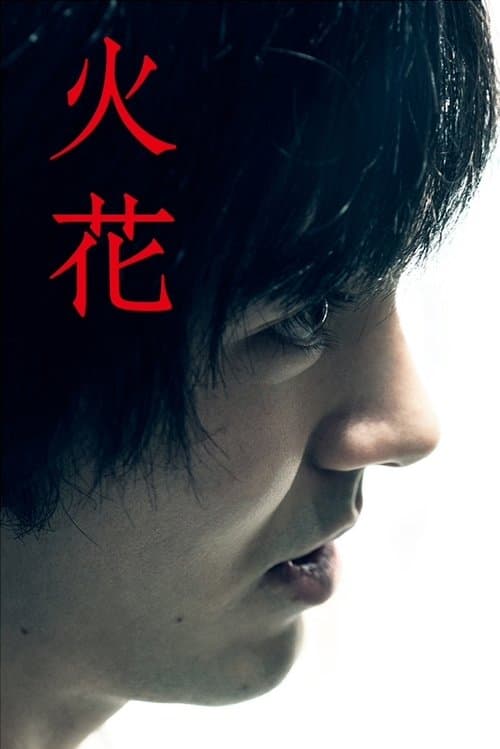 火花のポスター
