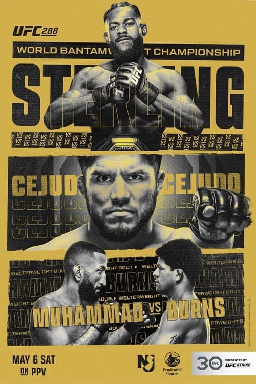 UFC 288: Sterling vs. Cejudoのポスター