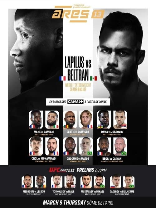 ARES 13のポスター