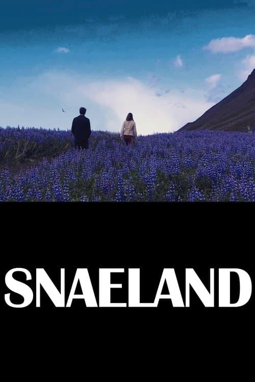 Snaelandのポスター