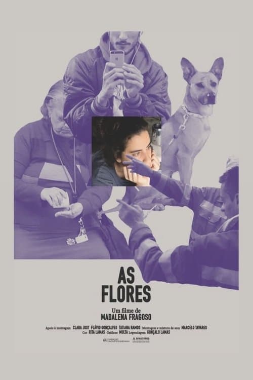 As Floresのポスター
