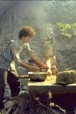 Η σκιάχτραのポスター