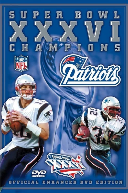 2001 New England Patriots - Super Bowl XXXVI Championsのポスター