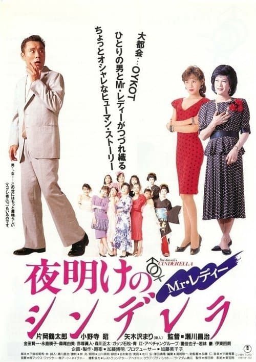 Mr.レディー 夜明けのシンデレラのポスター