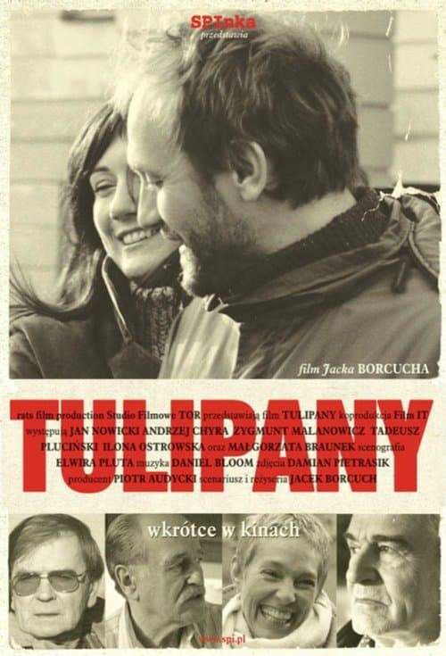 Tulipanyのポスター