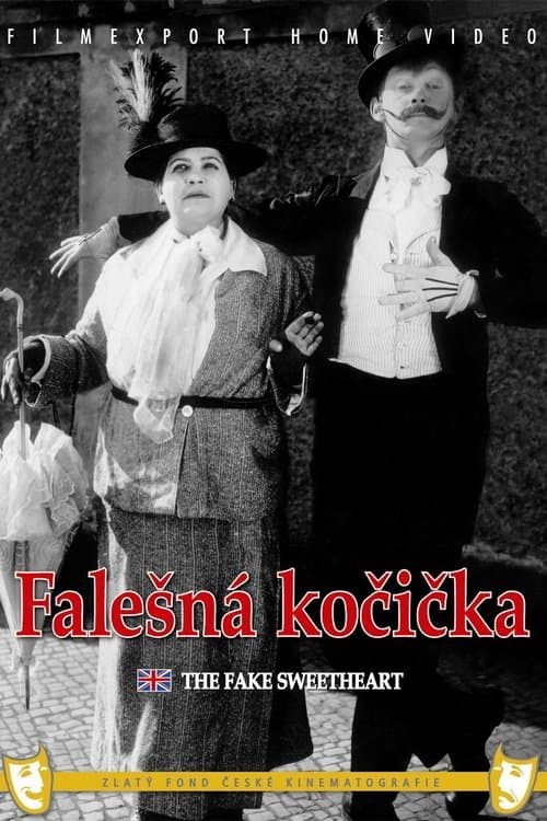 Falešná kočičkaのポスター