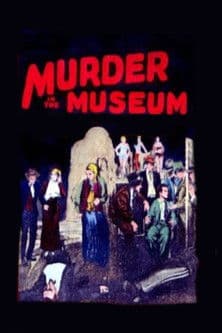 The Murder in the Museumのポスター