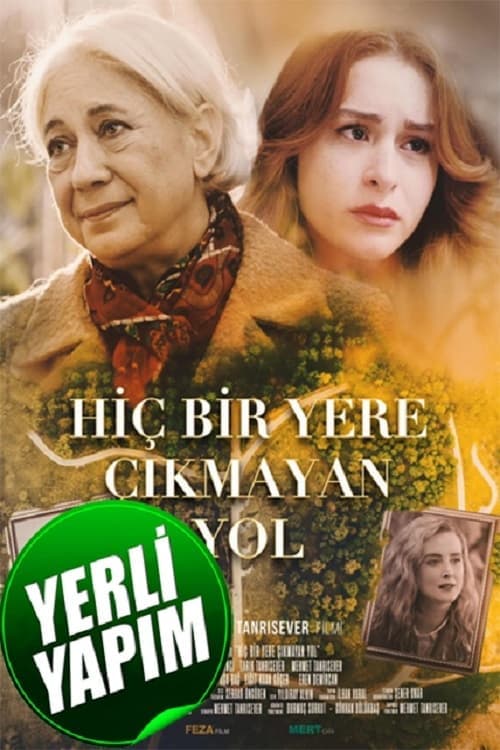 Hiçbir Yere Çıkmayan Yolのポスター