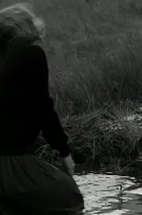 La dérouteのポスター