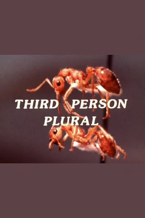 Third Person Pluralのポスター