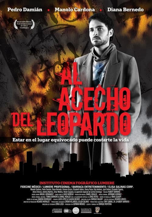 Al acecho del leopardoのポスター