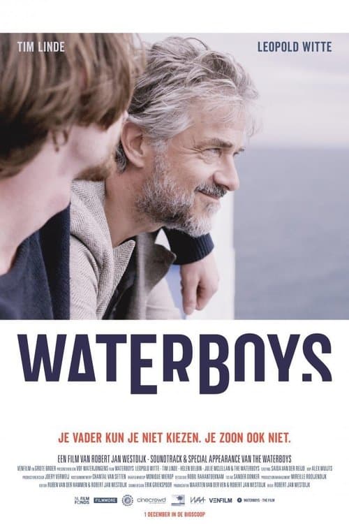 Waterboysのポスター