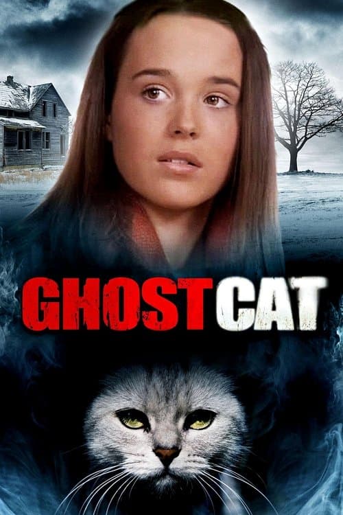 Mrs. Ashboro's Catのポスター