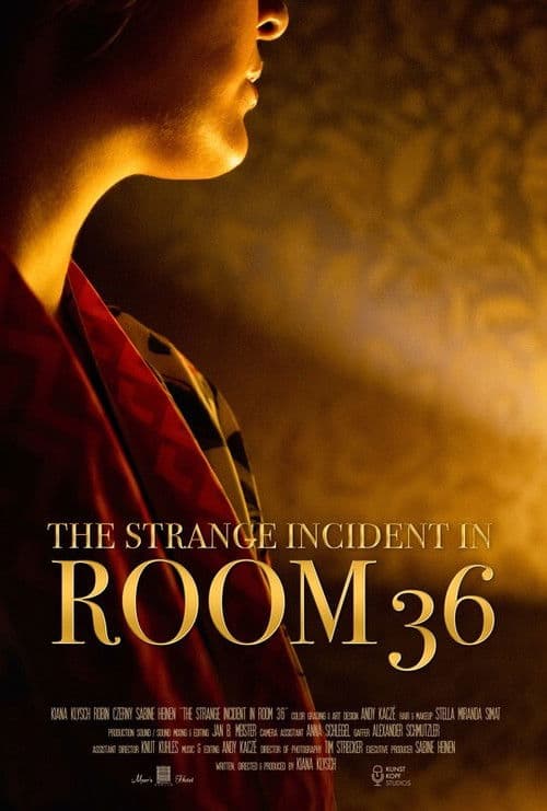 The Strange Incident In Room 36のポスター
