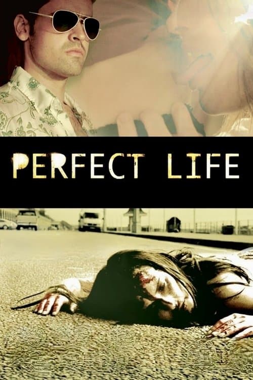 Perfect Lifeのポスター