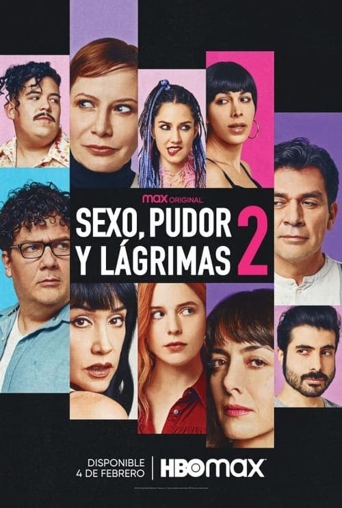 Sexo, pudor y lágrimas 2のポスター
