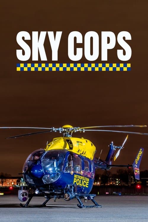 Sky Copsのポスター