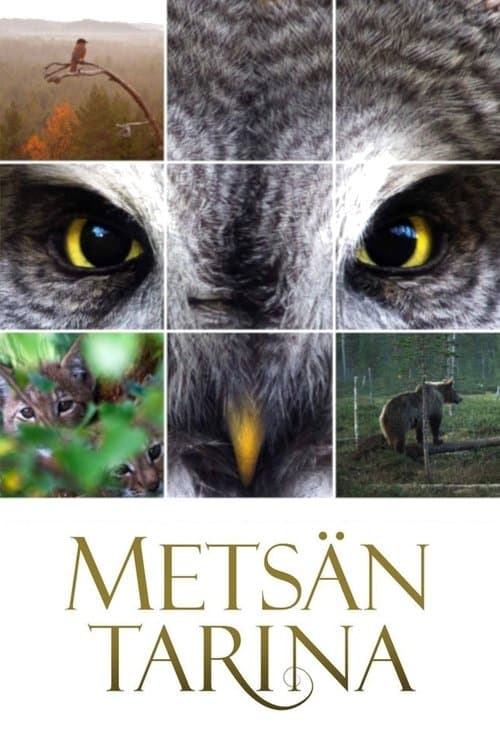 Metsän tarinaのポスター