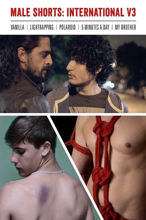 Male Shorts: International V3のポスター