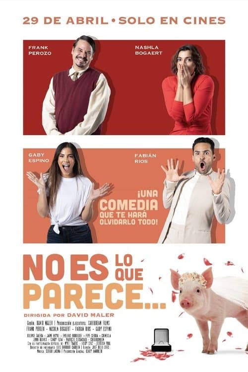 No es lo que pareceのポスター