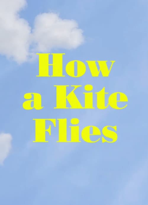How a Kite Fliesのポスター