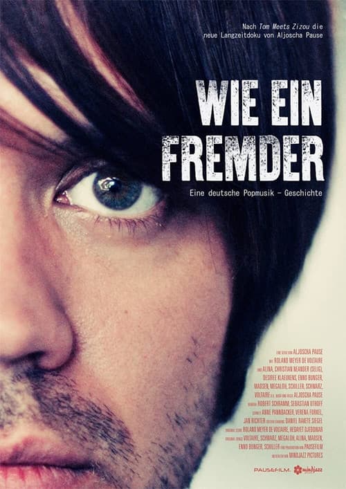 Wie ein Fremder: Eine deutsche Popmusik-Geschichteのポスター